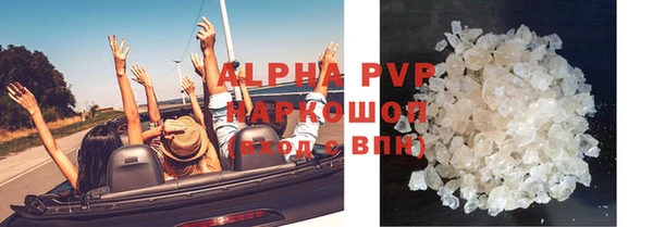 хмурый Покачи
