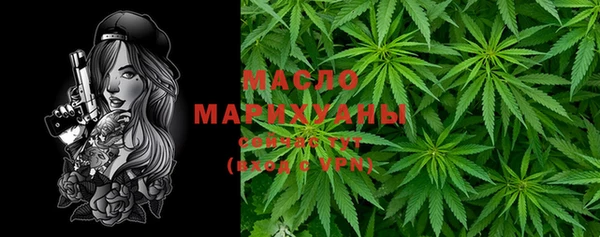 спиды Кирсанов
