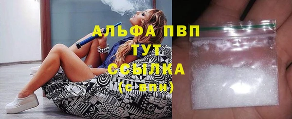 хмурый Кирс