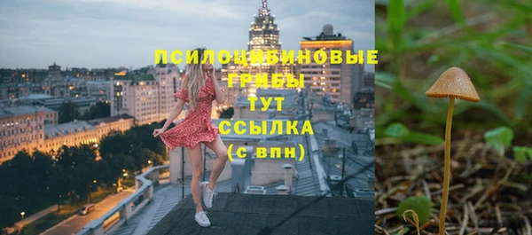 хмурый Покачи