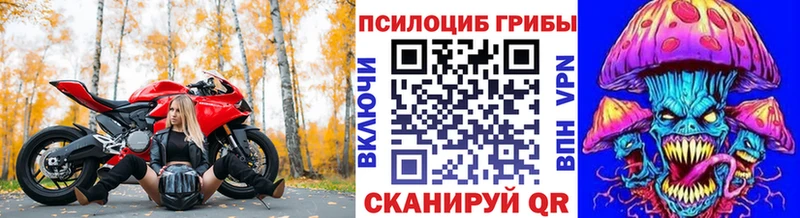 Купить закладки  Дальнереченск  Галлюциногенные грибы Psilocybine cubensis 